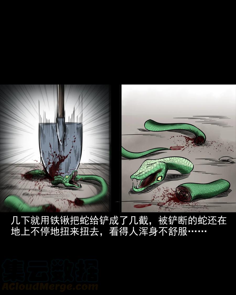 三老爷惊奇手札韩漫全集-291 蛇祸无删减无遮挡章节图片 