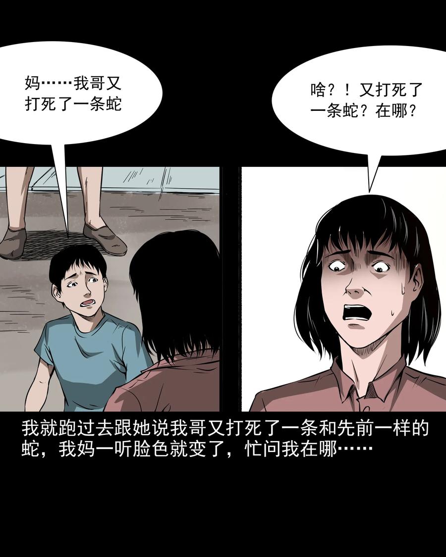 三老爷惊奇手札韩漫全集-291 蛇祸无删减无遮挡章节图片 