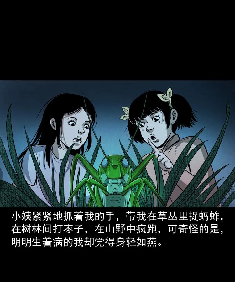 三老爷惊奇手札韩漫全集-298 小姨无删减无遮挡章节图片 