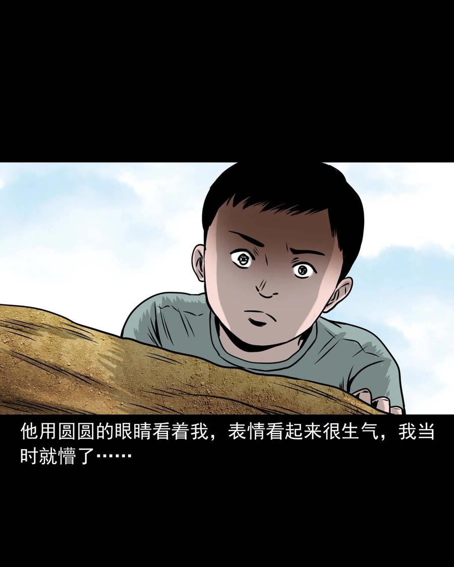 三老爷惊奇手札韩漫全集-330 玩伴无删减无遮挡章节图片 