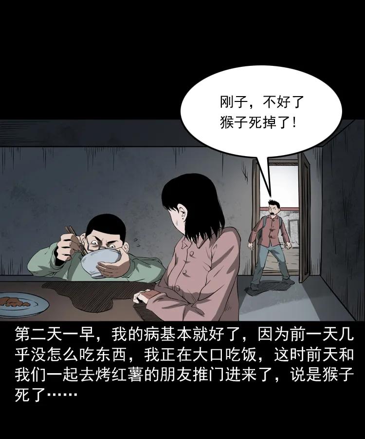 三老爷惊奇手札韩漫全集-341 本命年撞煞无删减无遮挡章节图片 