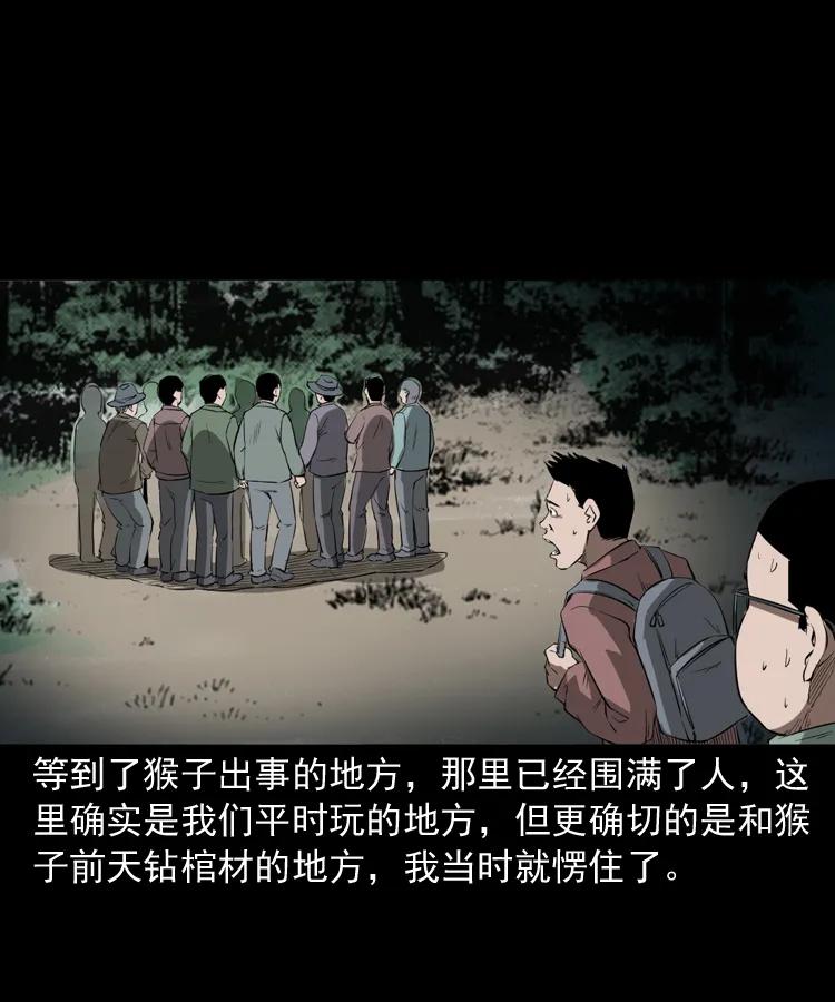 三老爷惊奇手札韩漫全集-341 本命年撞煞无删减无遮挡章节图片 