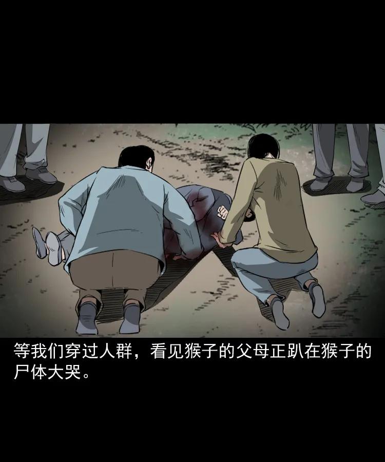 三老爷惊奇手札韩漫全集-341 本命年撞煞无删减无遮挡章节图片 