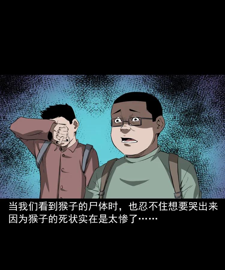 三老爷惊奇手札韩漫全集-341 本命年撞煞无删减无遮挡章节图片 