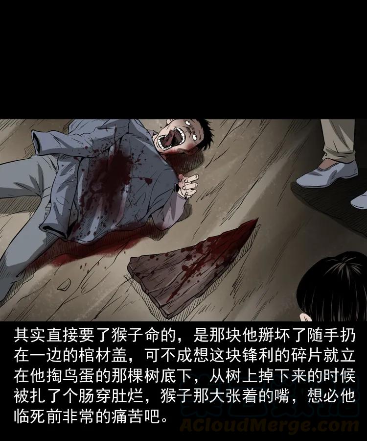 三老爷惊奇手札韩漫全集-341 本命年撞煞无删减无遮挡章节图片 