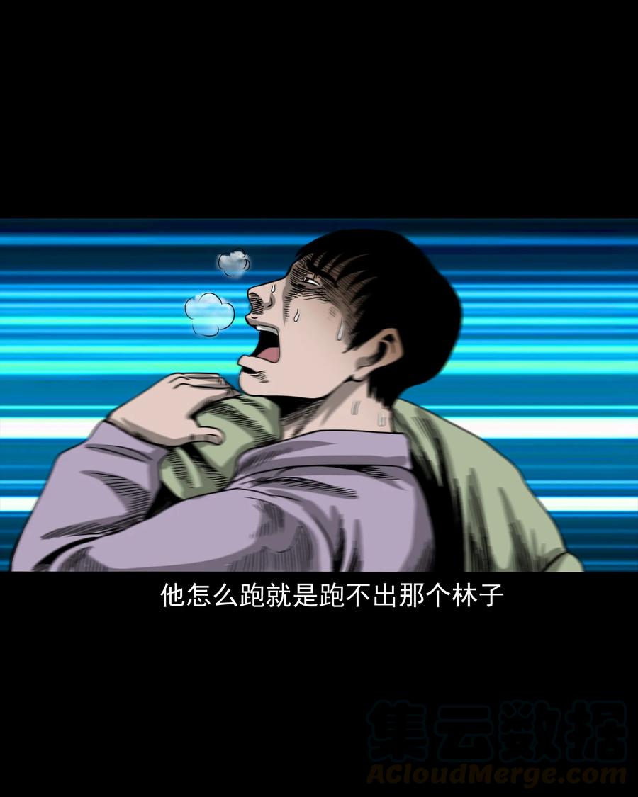 三老爷惊奇手札韩漫全集-351 马叔的诡遇无删减无遮挡章节图片 