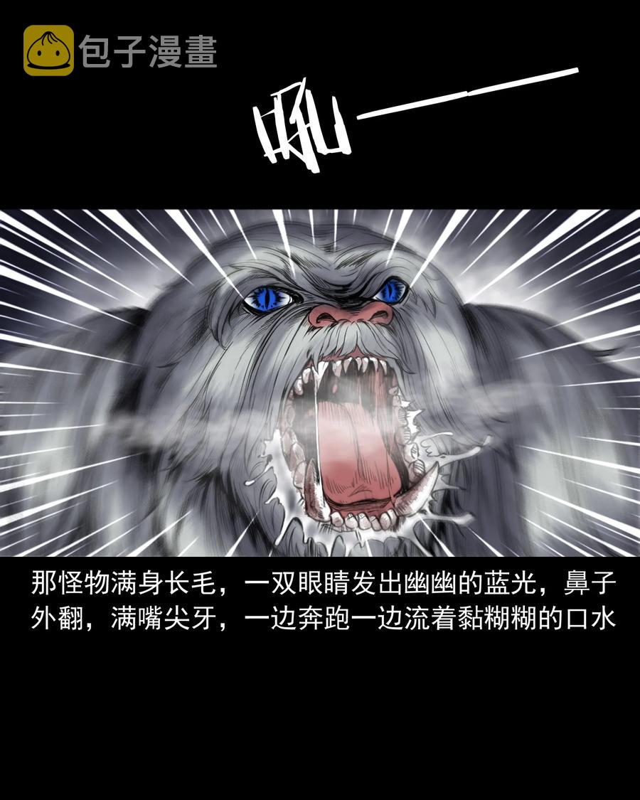 三老爷惊奇手札韩漫全集-355 雪怪无删减无遮挡章节图片 