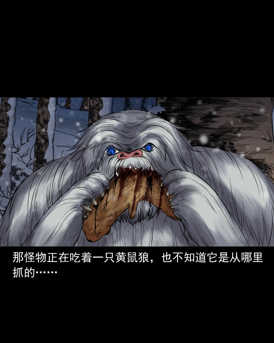 三老爷惊奇手札韩漫全集-355 雪怪无删减无遮挡章节图片 