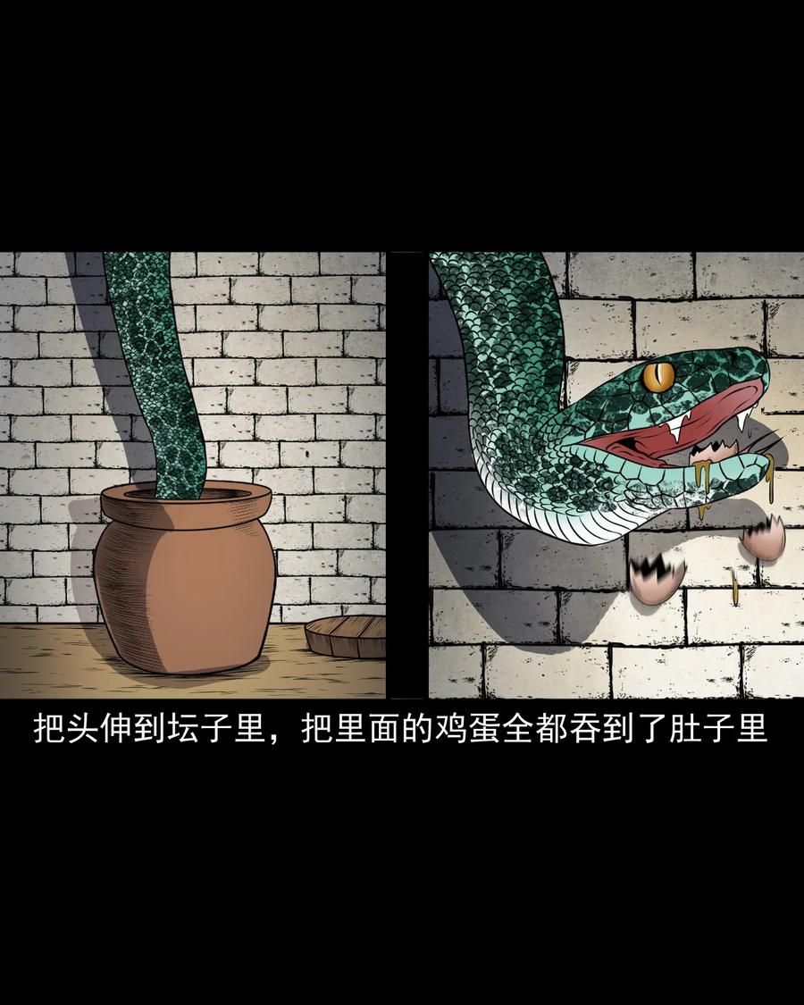 三老爷惊奇手札韩漫全集-357 老烟鬼（十七）无删减无遮挡章节图片 
