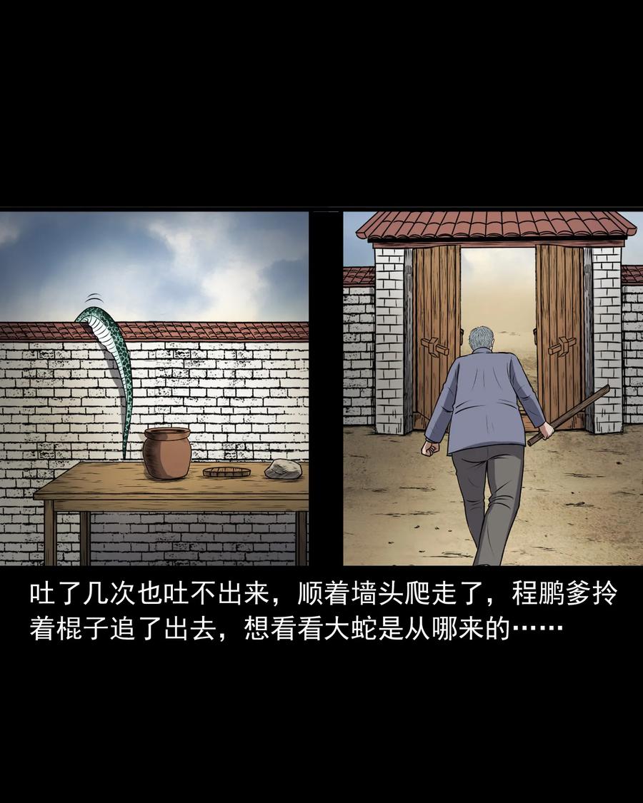 三老爷惊奇手札韩漫全集-357 老烟鬼（十七）无删减无遮挡章节图片 