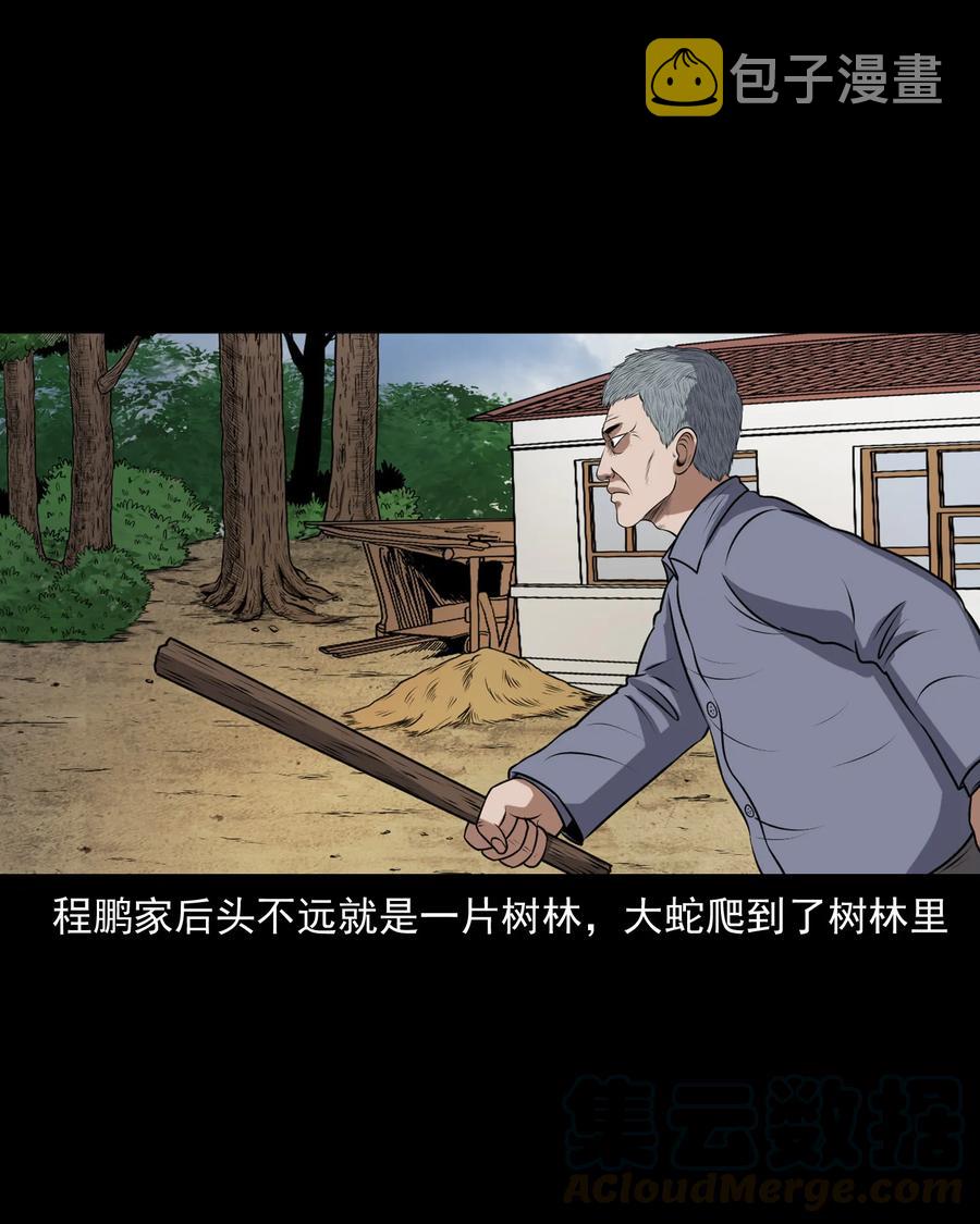 三老爷惊奇手札韩漫全集-357 老烟鬼（十七）无删减无遮挡章节图片 