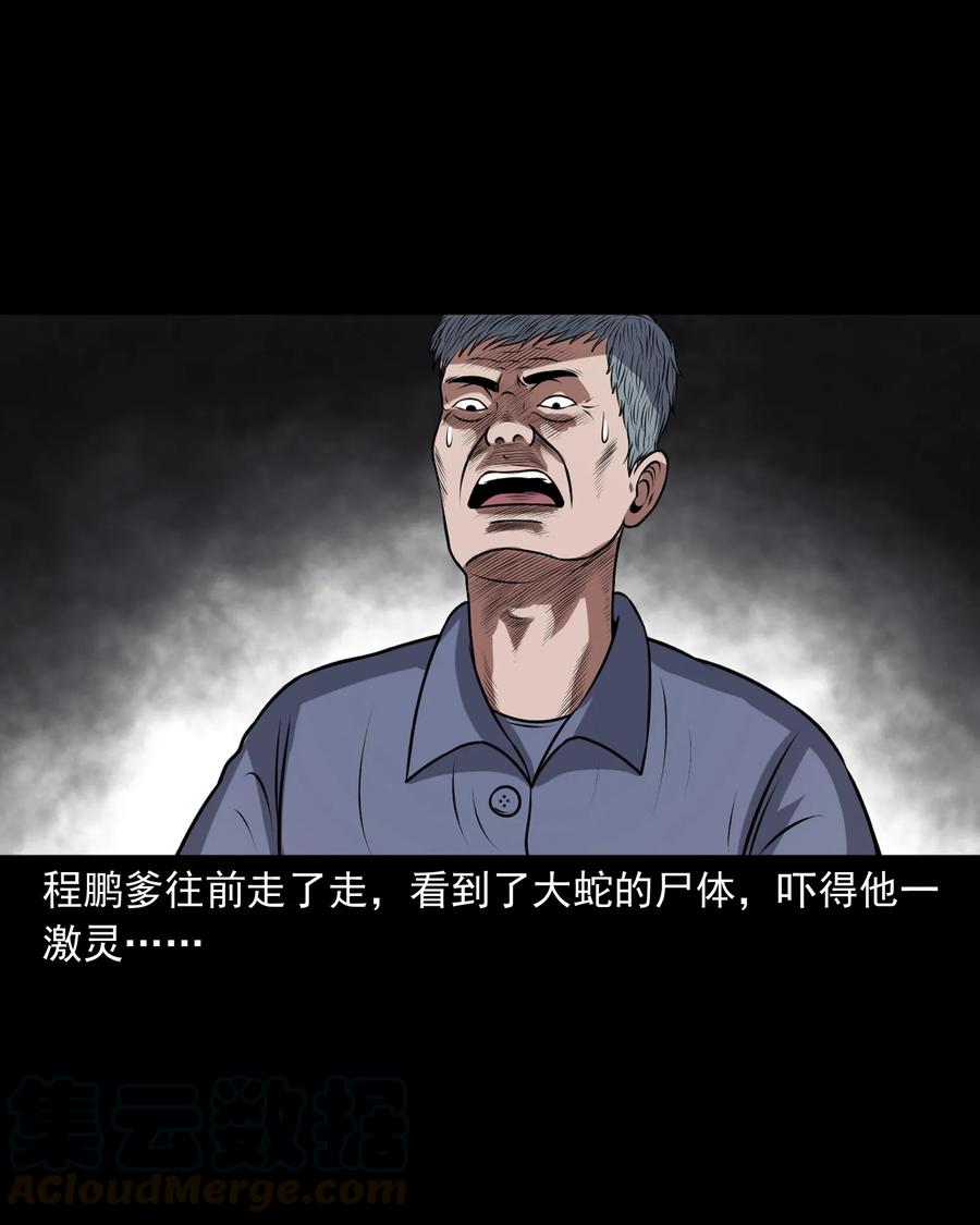 三老爷惊奇手札韩漫全集-357 老烟鬼（十七）无删减无遮挡章节图片 