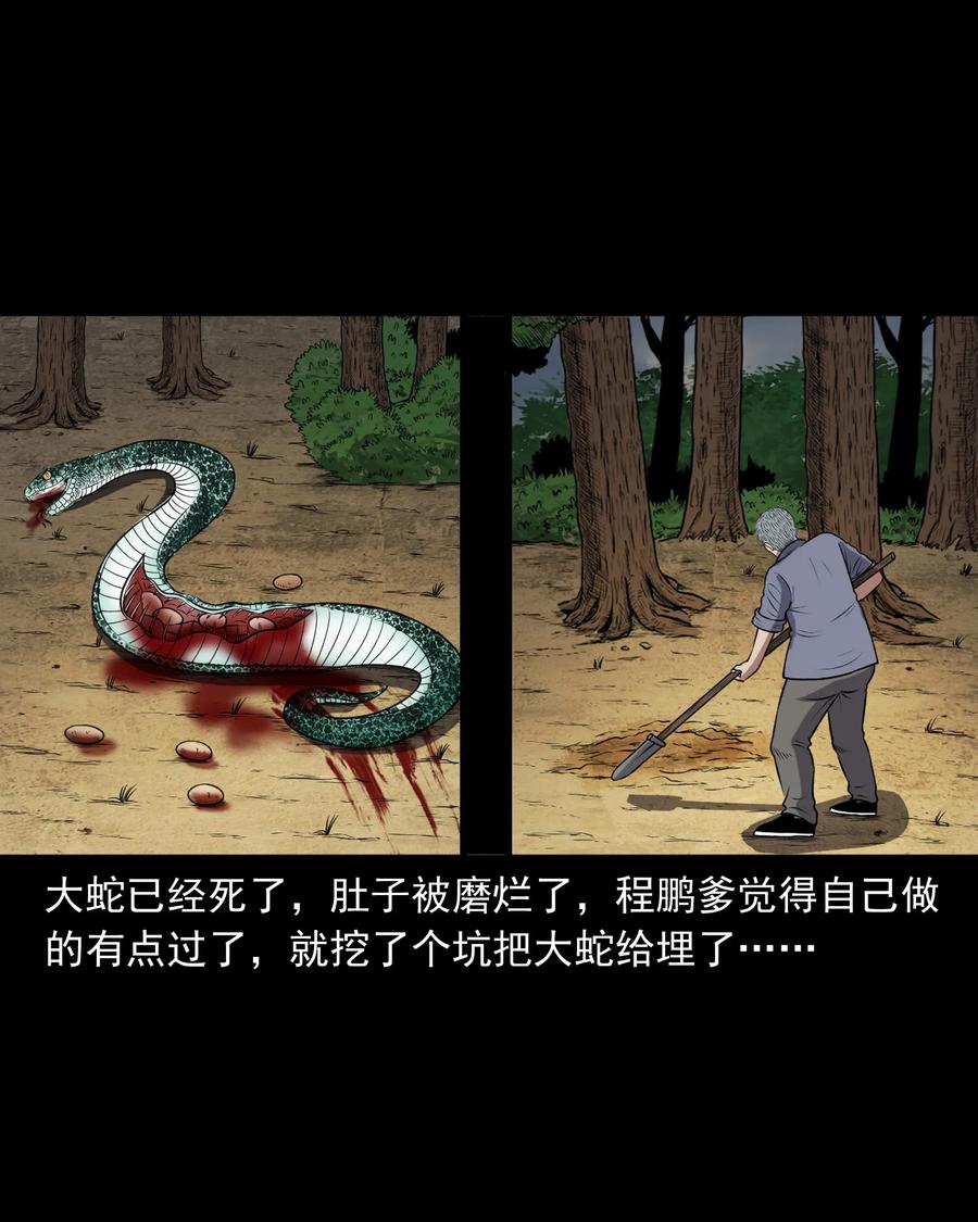 三老爷惊奇手札韩漫全集-357 老烟鬼（十七）无删减无遮挡章节图片 