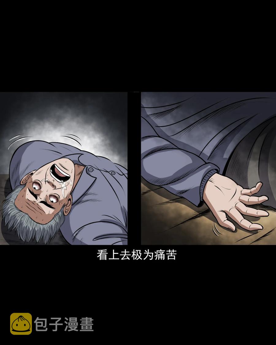 三老爷惊奇手札韩漫全集-357 老烟鬼（十七）无删减无遮挡章节图片 