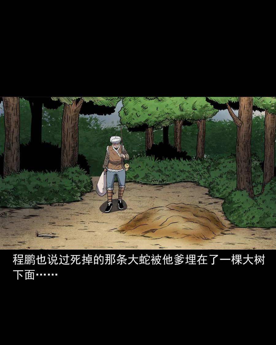 三老爷惊奇手札韩漫全集-357 老烟鬼（十七）无删减无遮挡章节图片 