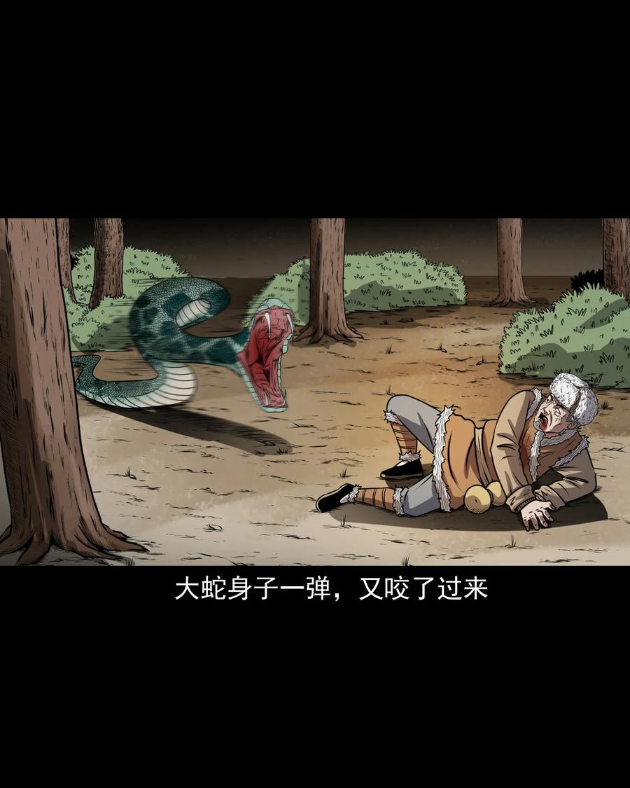 三老爷惊奇手札韩漫全集-359 老烟鬼（十八）无删减无遮挡章节图片 