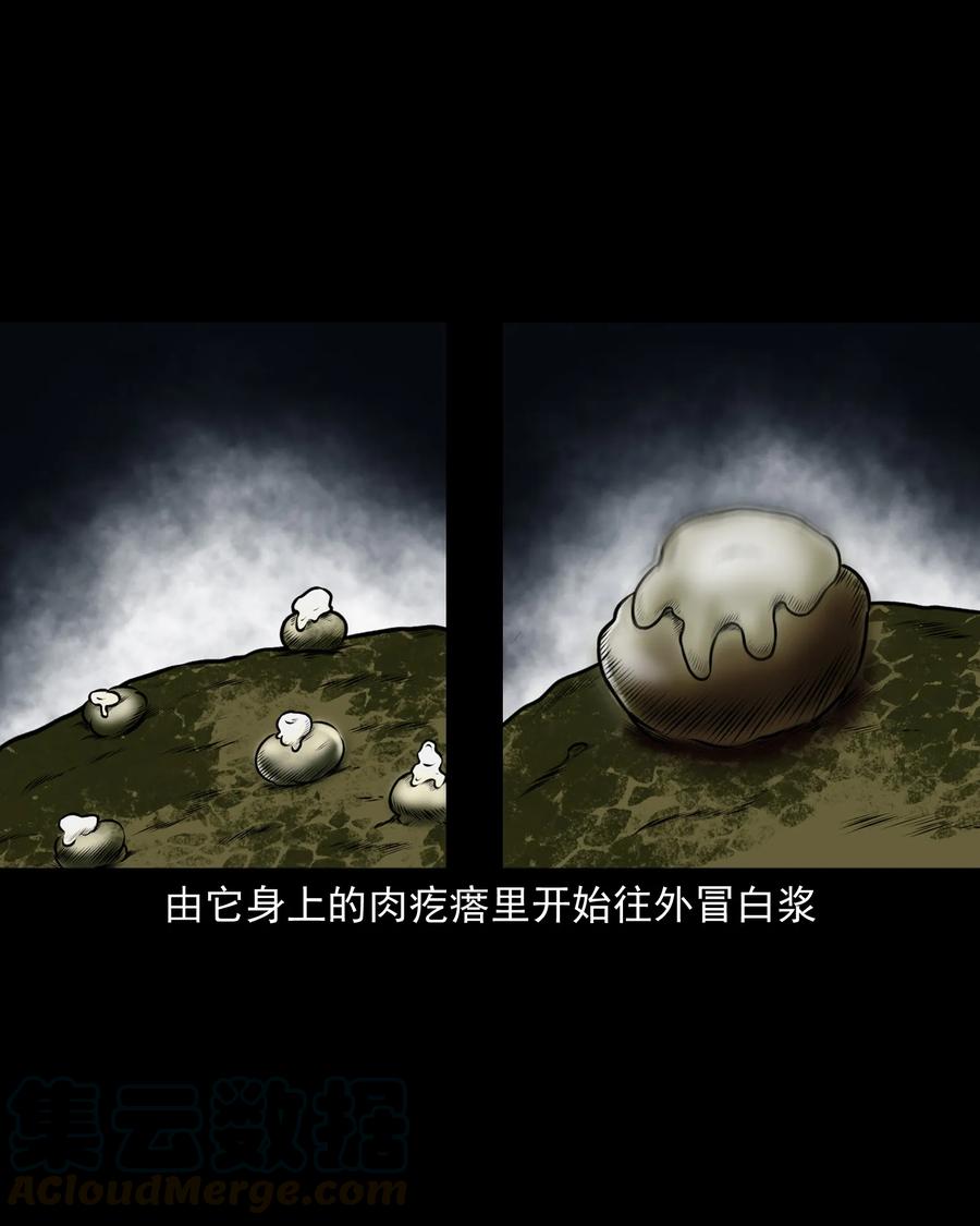 三老爷惊奇手札韩漫全集-371 老烟鬼（二十四）无删减无遮挡章节图片 