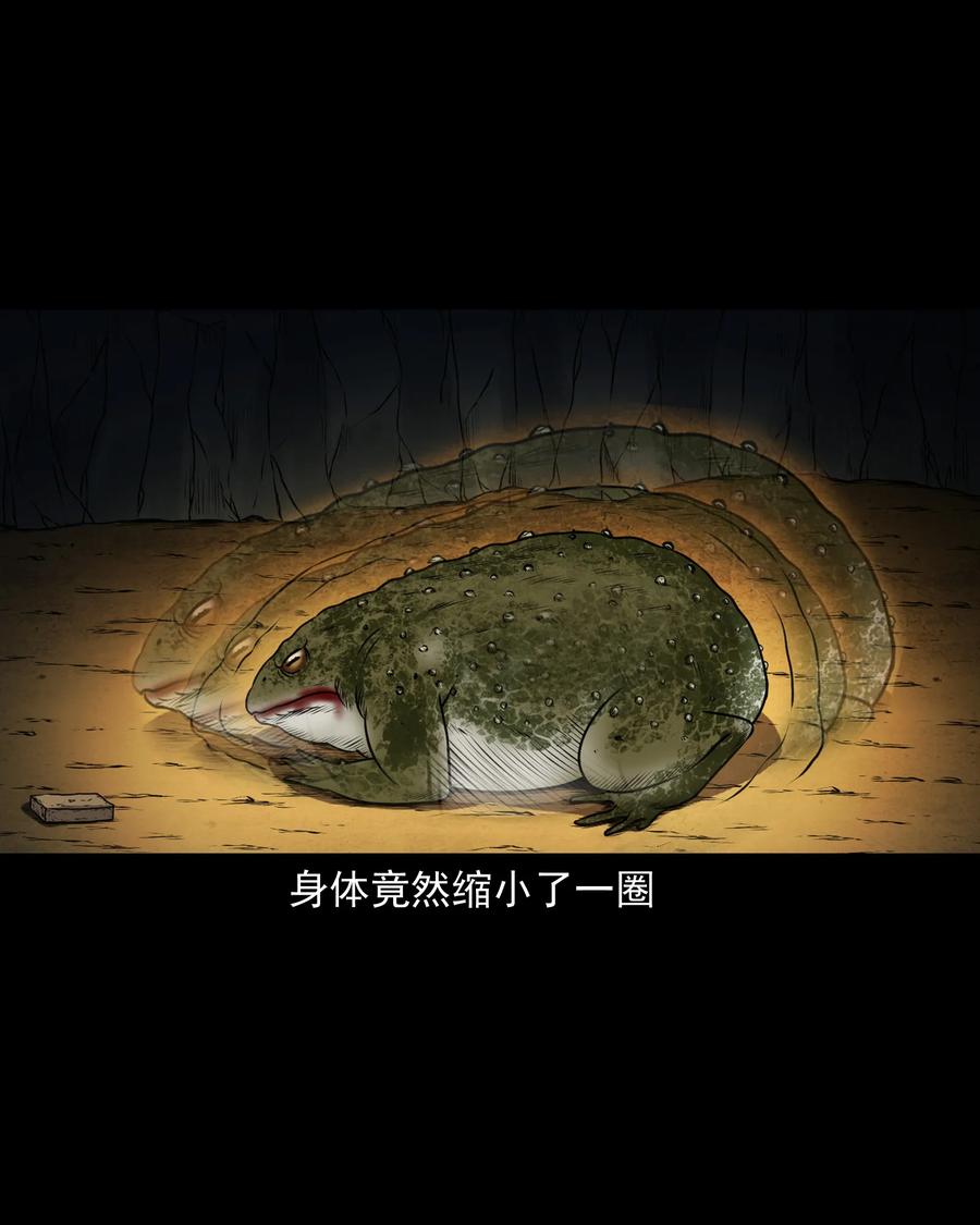 三老爷惊奇手札韩漫全集-371 老烟鬼（二十四）无删减无遮挡章节图片 