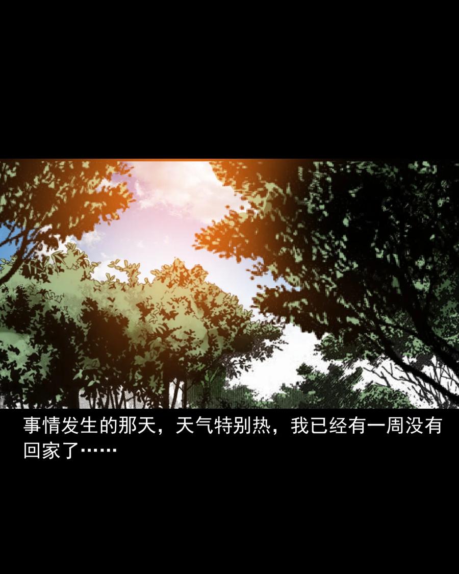 三老爷惊奇手札韩漫全集-384 复仇无删减无遮挡章节图片 