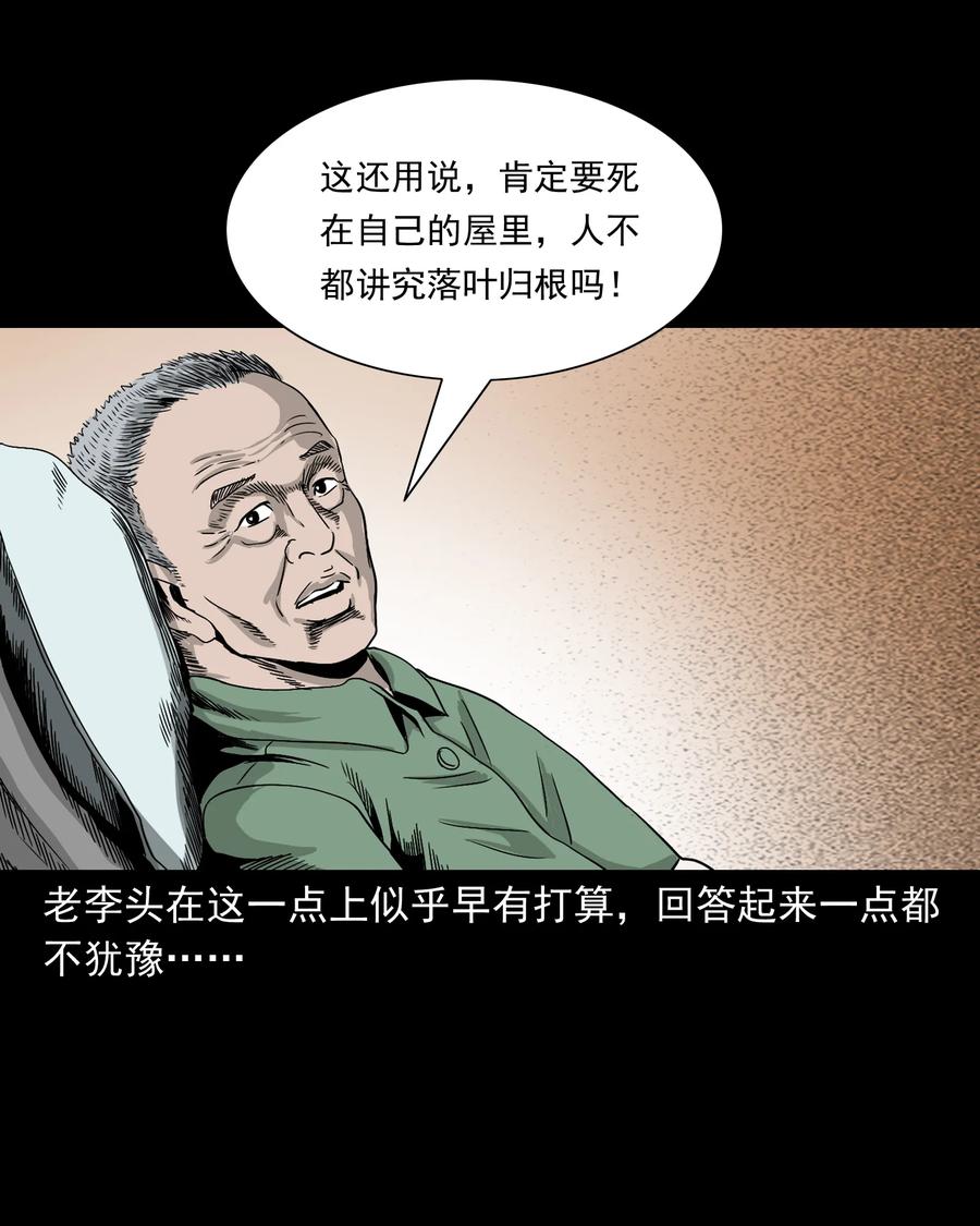 三老爷惊奇手札韩漫全集-388 叶落归根无删减无遮挡章节图片 