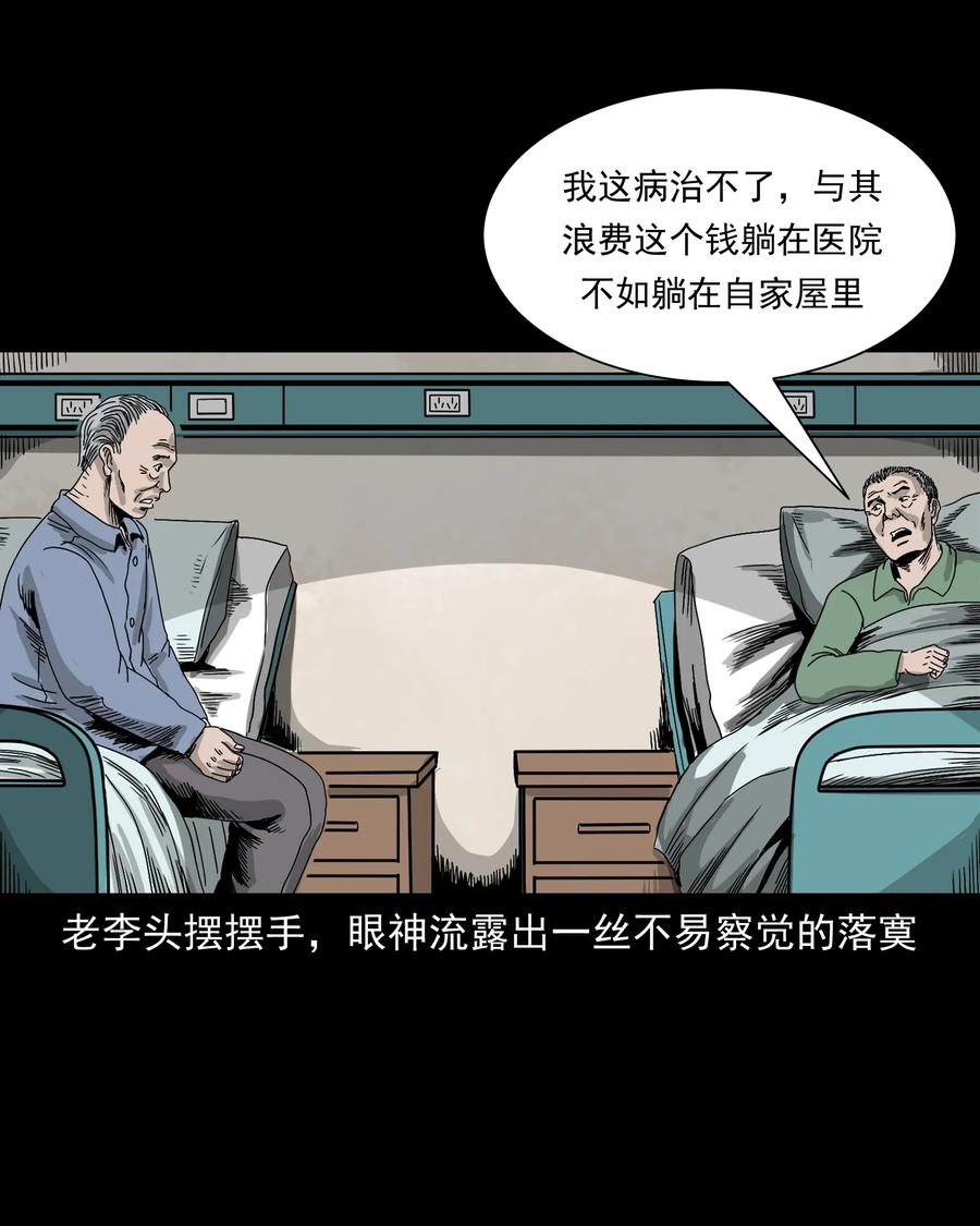 三老爷惊奇手札韩漫全集-388 叶落归根无删减无遮挡章节图片 
