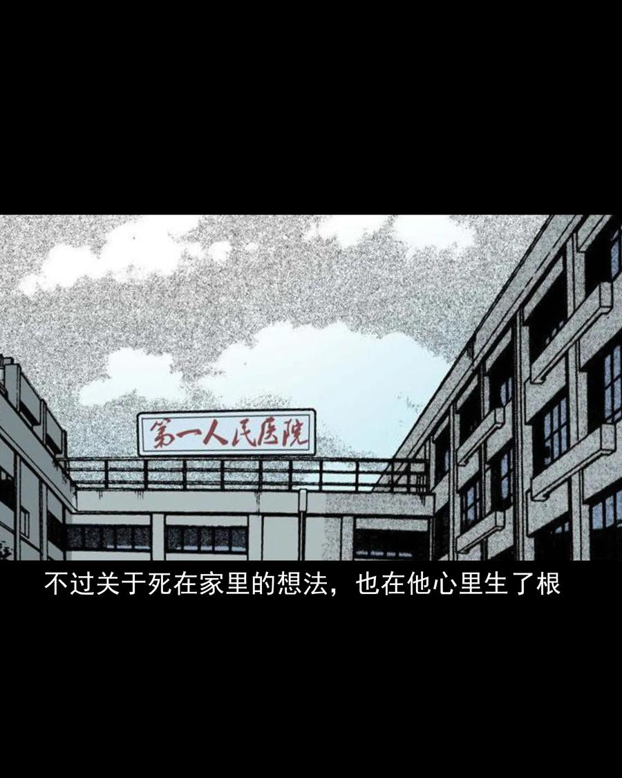 三老爷惊奇手札韩漫全集-388 叶落归根无删减无遮挡章节图片 