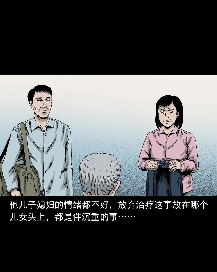 三老爷惊奇手札韩漫全集-388 叶落归根无删减无遮挡章节图片 