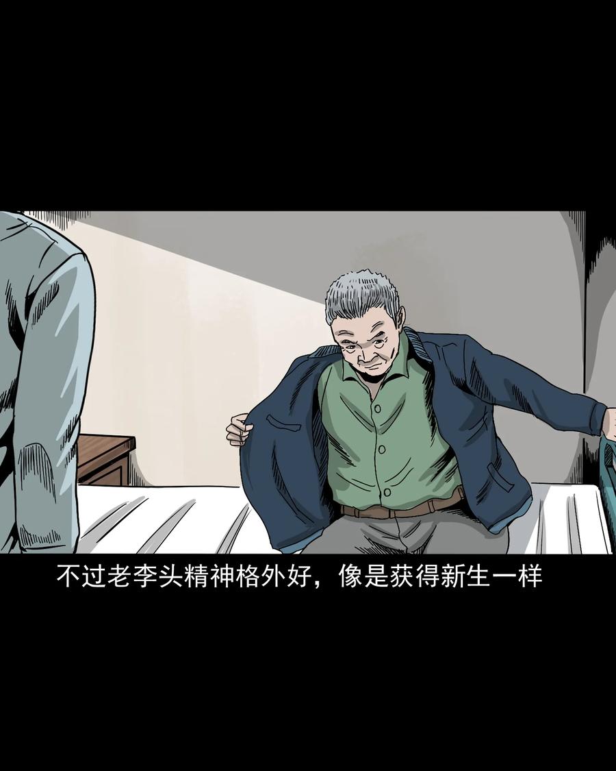 三老爷惊奇手札韩漫全集-388 叶落归根无删减无遮挡章节图片 