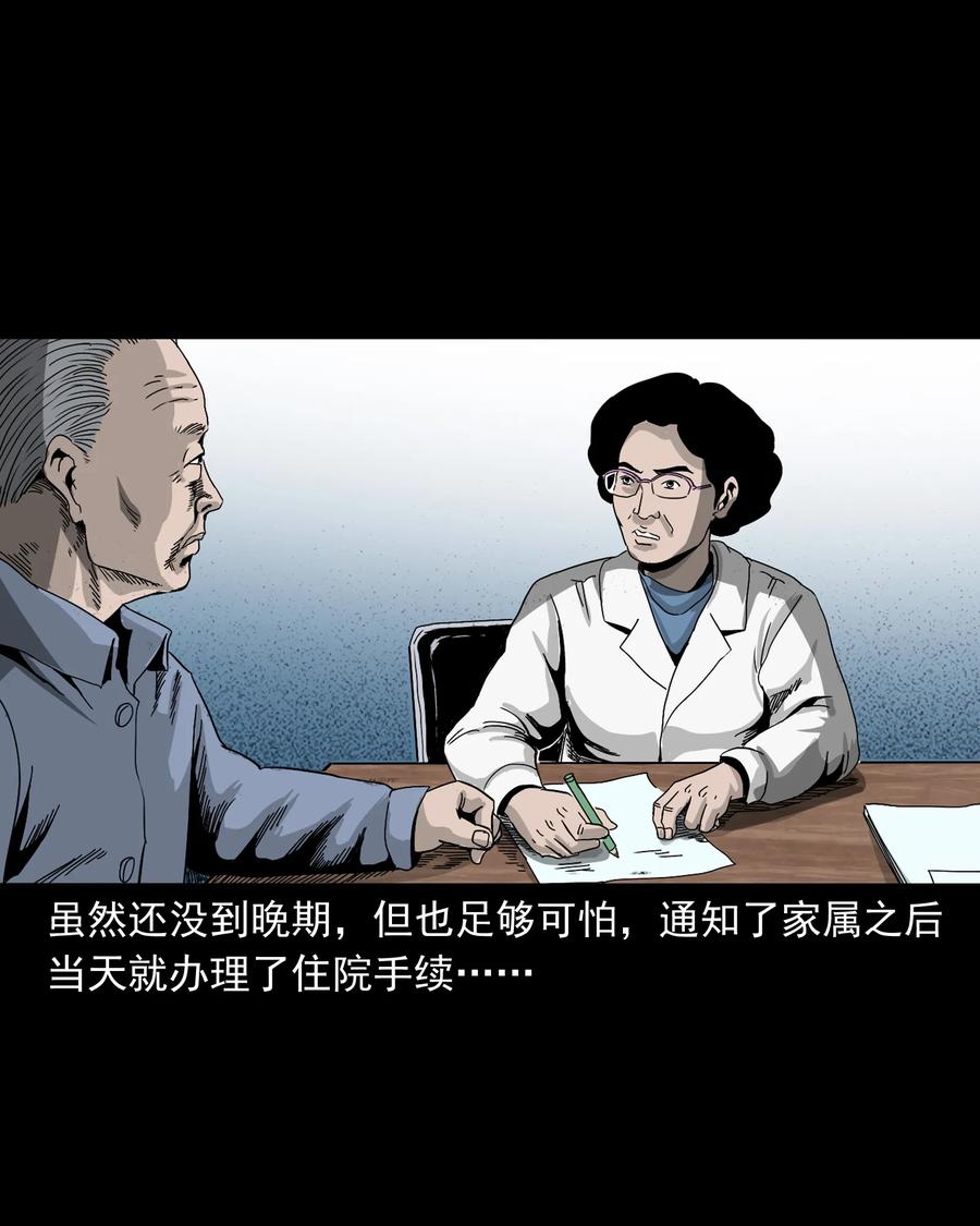 三老爷惊奇手札韩漫全集-388 叶落归根无删减无遮挡章节图片 