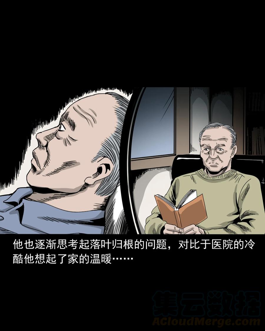 三老爷惊奇手札韩漫全集-388 叶落归根无删减无遮挡章节图片 
