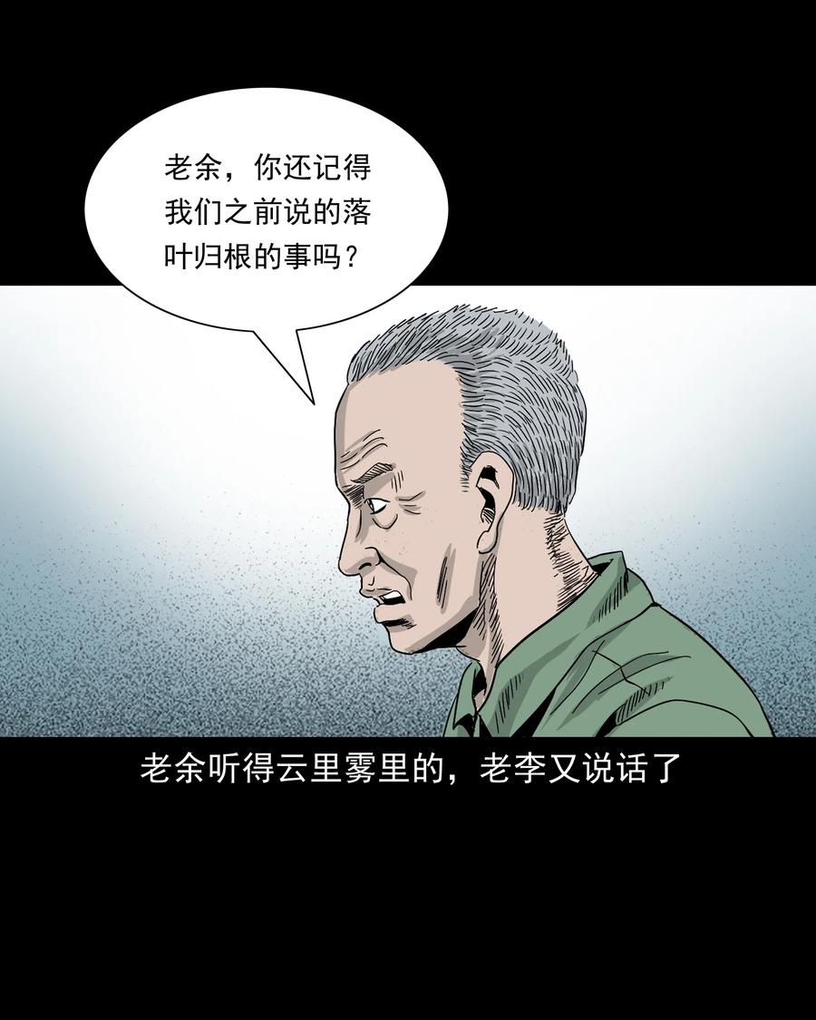 三老爷惊奇手札韩漫全集-388 叶落归根无删减无遮挡章节图片 