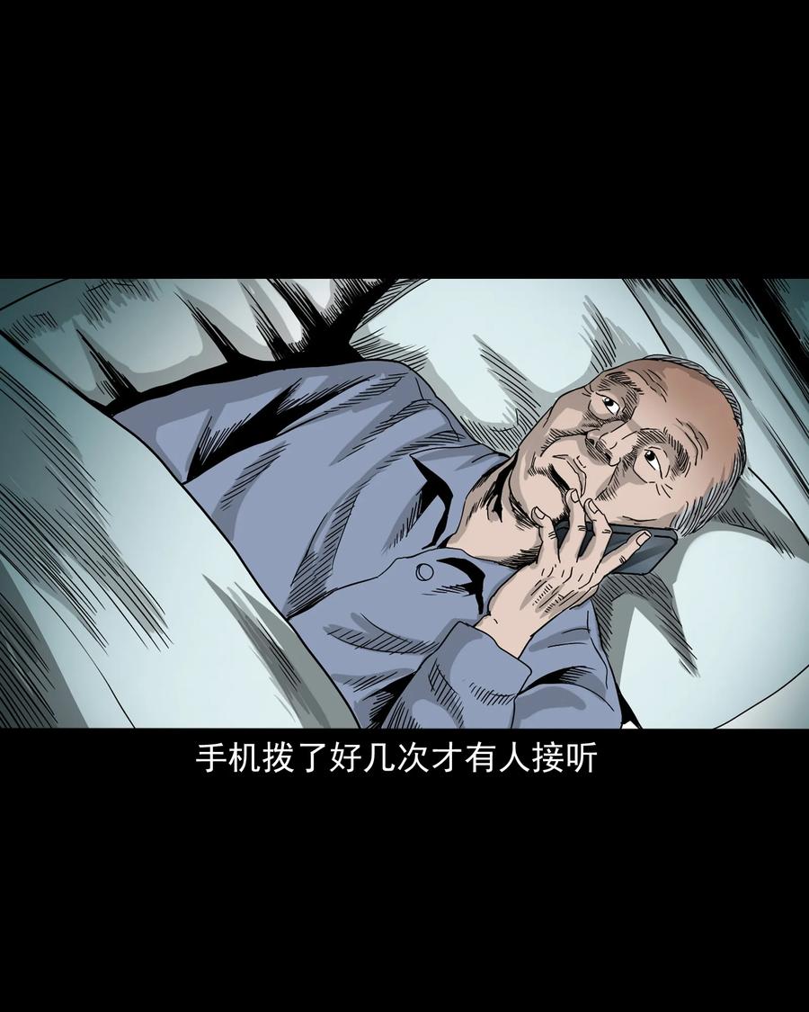 三老爷惊奇手札韩漫全集-388 叶落归根无删减无遮挡章节图片 