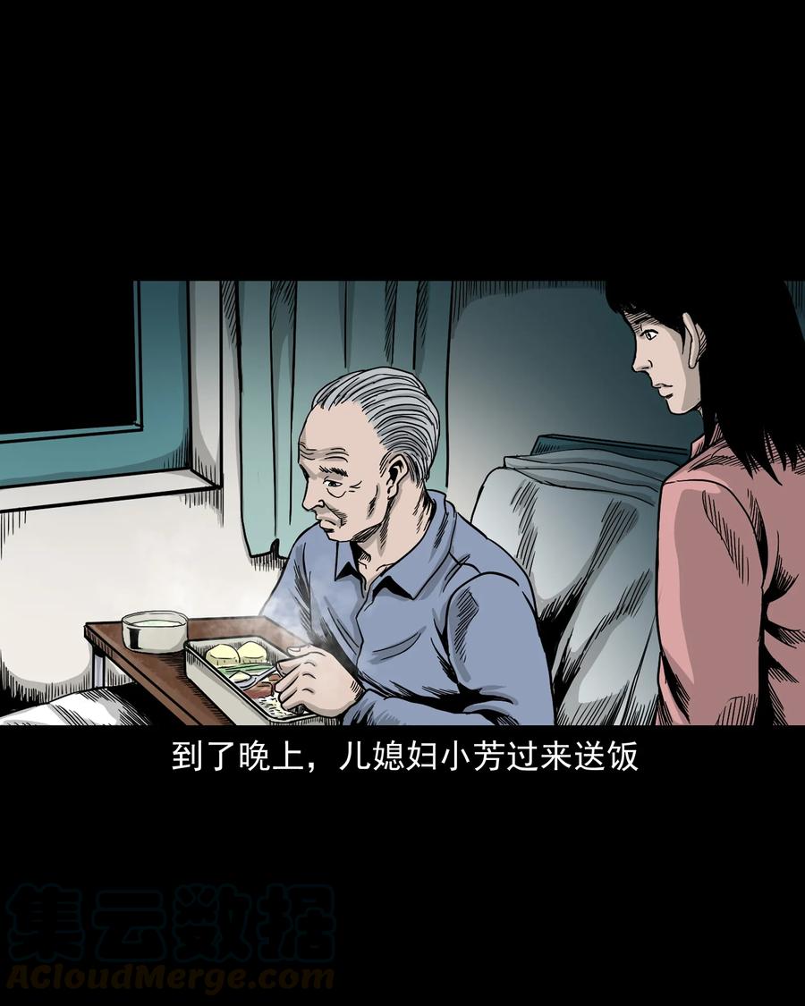 三老爷惊奇手札韩漫全集-388 叶落归根无删减无遮挡章节图片 