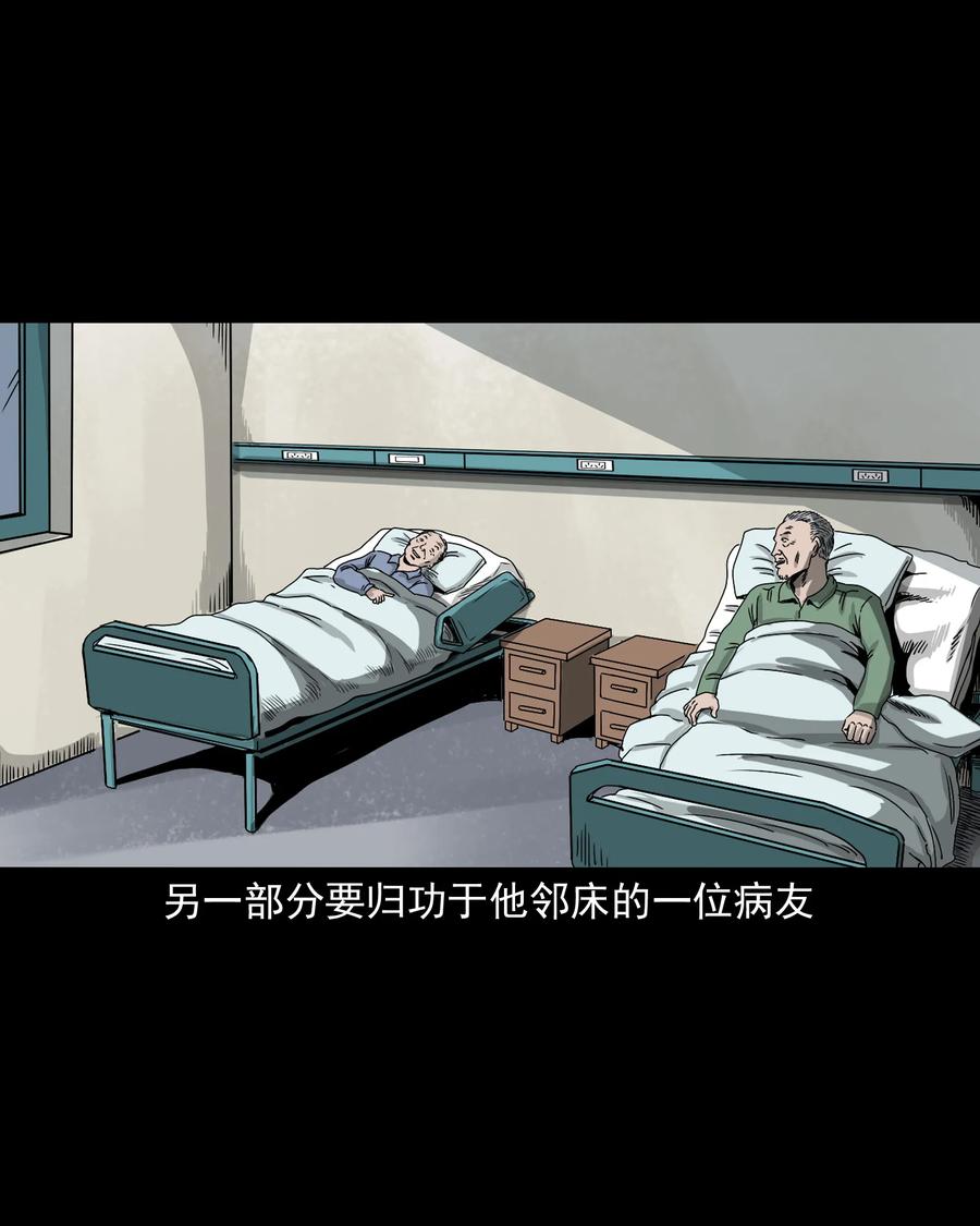 三老爷惊奇手札韩漫全集-388 叶落归根无删减无遮挡章节图片 