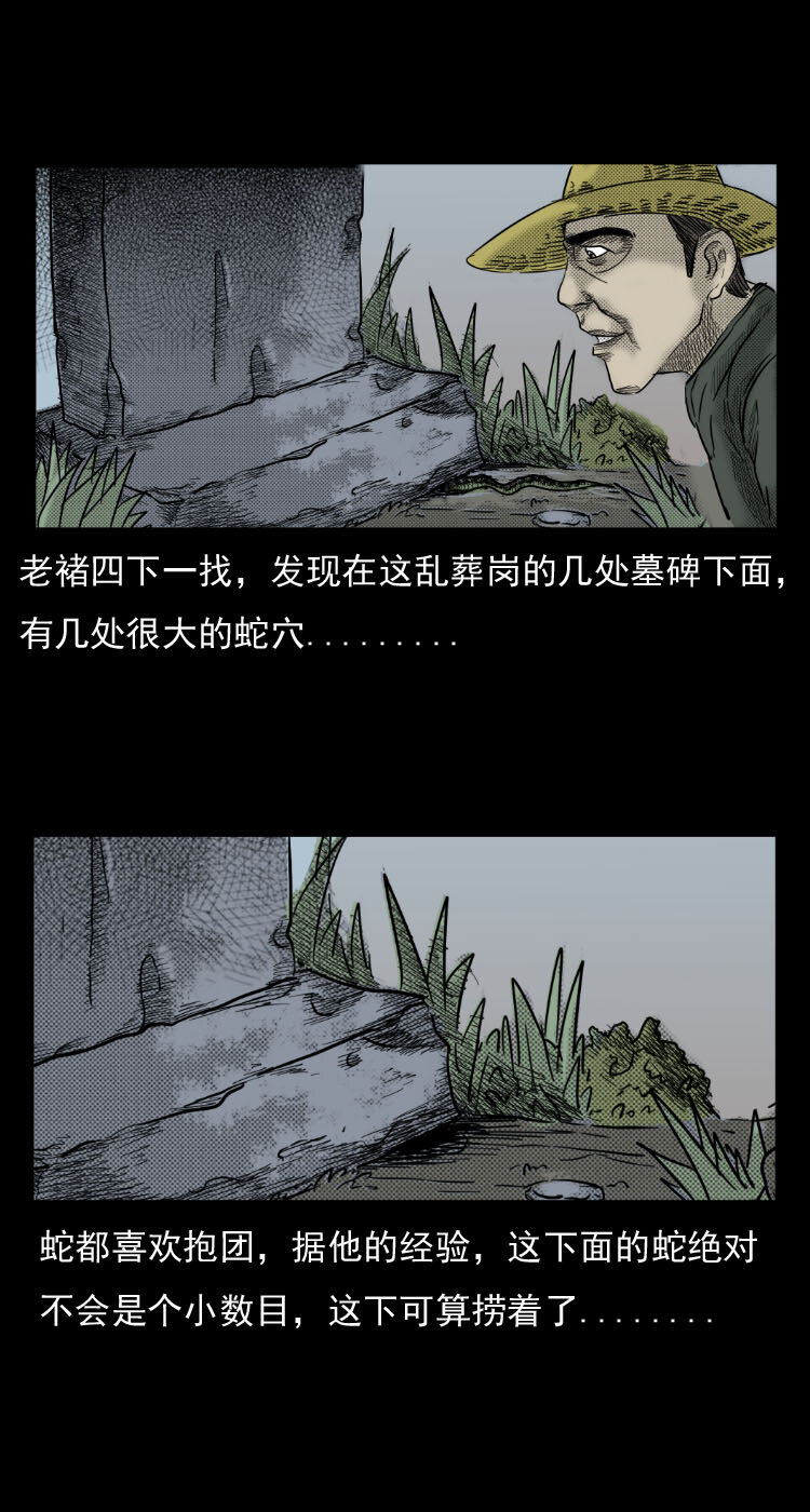 三老爷惊奇手札韩漫全集-5 活蛇酒无删减无遮挡章节图片 