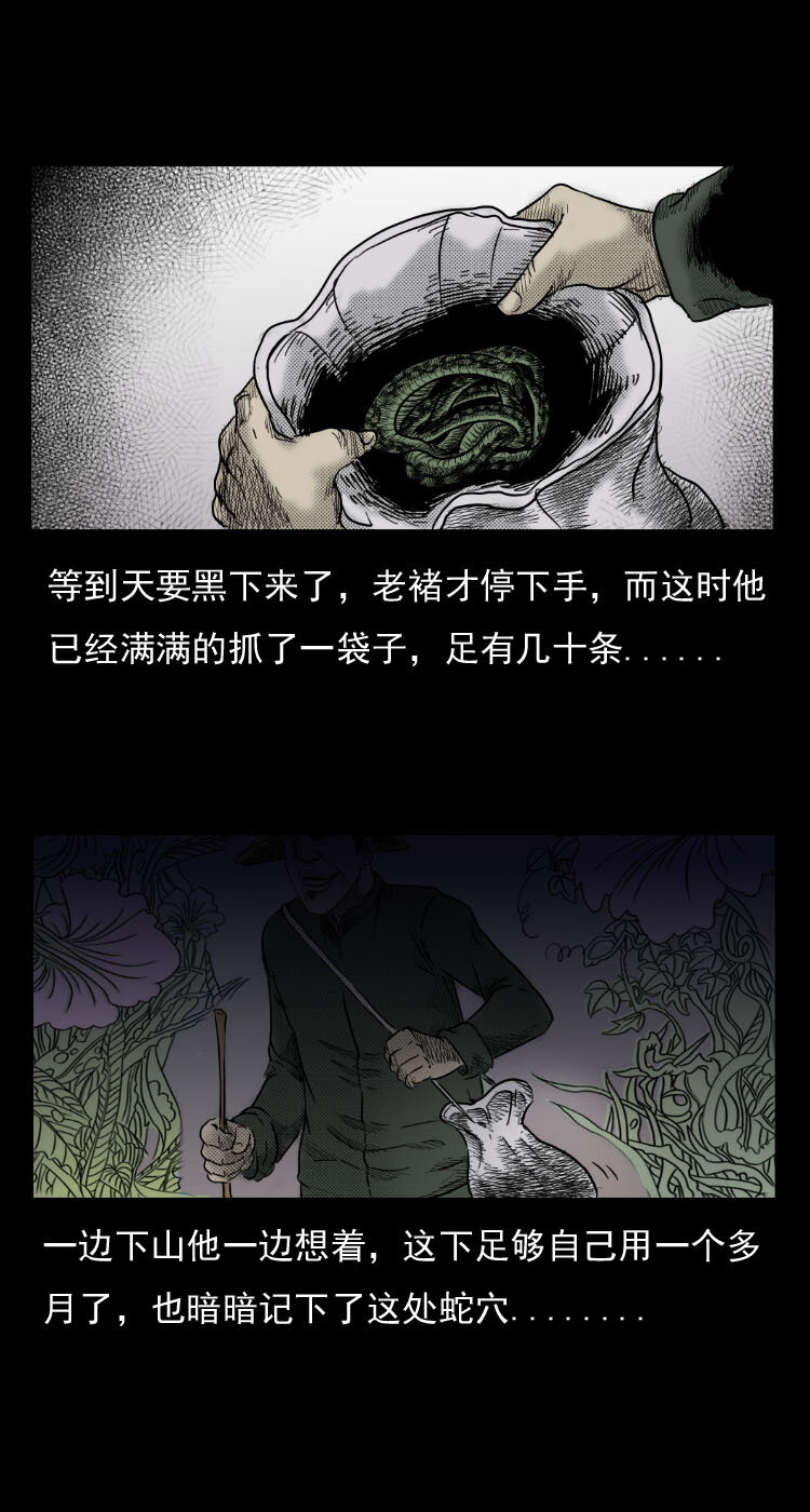 三老爷惊奇手札韩漫全集-5 活蛇酒无删减无遮挡章节图片 