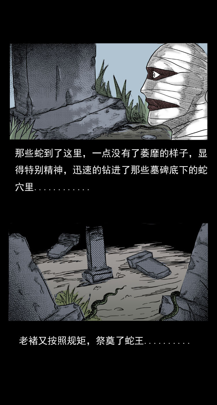 三老爷惊奇手札韩漫全集-5 活蛇酒无删减无遮挡章节图片 