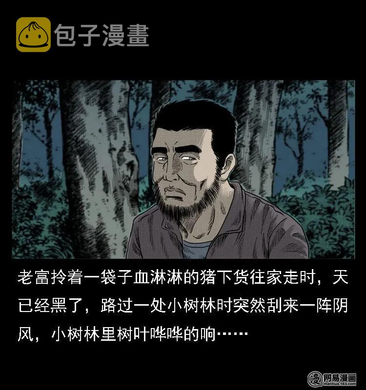 三老爷惊奇手札韩漫全集-41 请客无删减无遮挡章节图片 