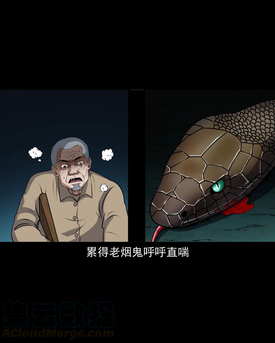 三老爷惊奇手札韩漫全集-403 老烟鬼40无删减无遮挡章节图片 