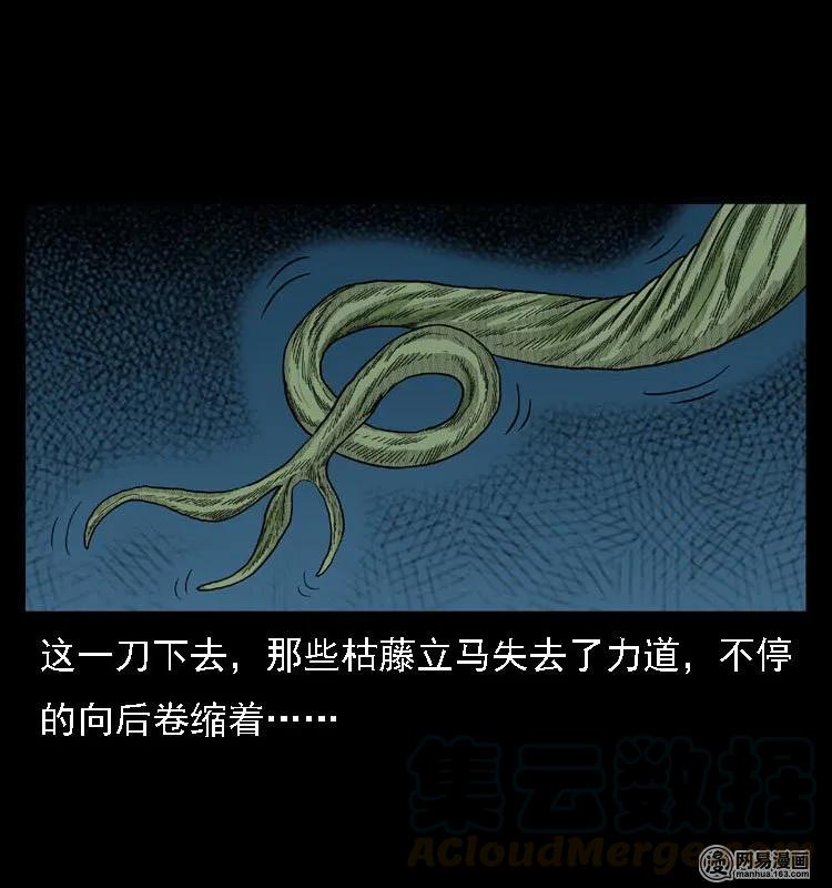 三老爷惊奇手札韩漫全集-42 白骨尸魔无删减无遮挡章节图片 