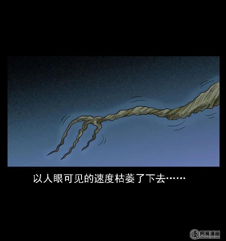 三老爷惊奇手札韩漫全集-42 白骨尸魔无删减无遮挡章节图片 