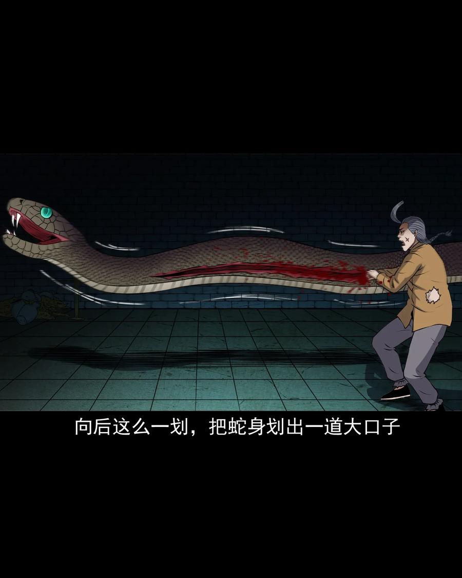 三老爷惊奇手札韩漫全集-409 老烟鬼43无删减无遮挡章节图片 