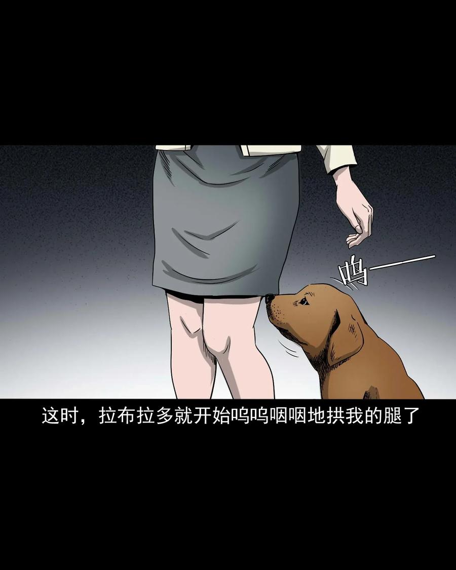 三老爷惊奇手札韩漫全集-412 找狗人无删减无遮挡章节图片 
