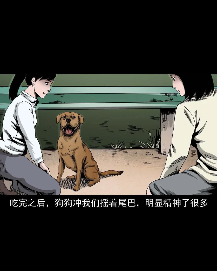三老爷惊奇手札韩漫全集-412 找狗人无删减无遮挡章节图片 