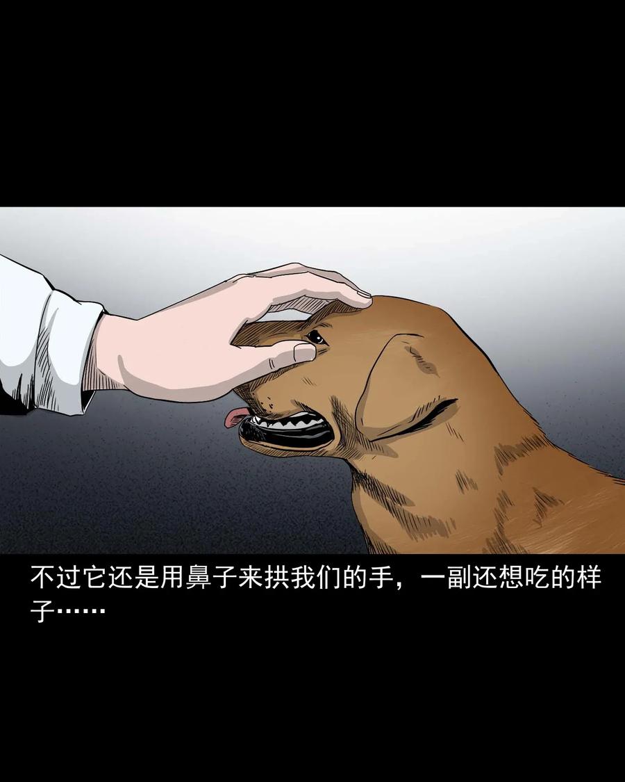 三老爷惊奇手札韩漫全集-412 找狗人无删减无遮挡章节图片 