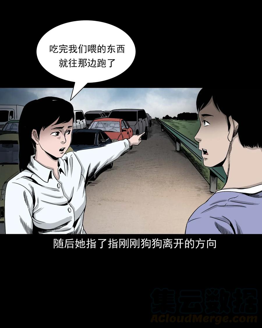 三老爷惊奇手札韩漫全集-412 找狗人无删减无遮挡章节图片 