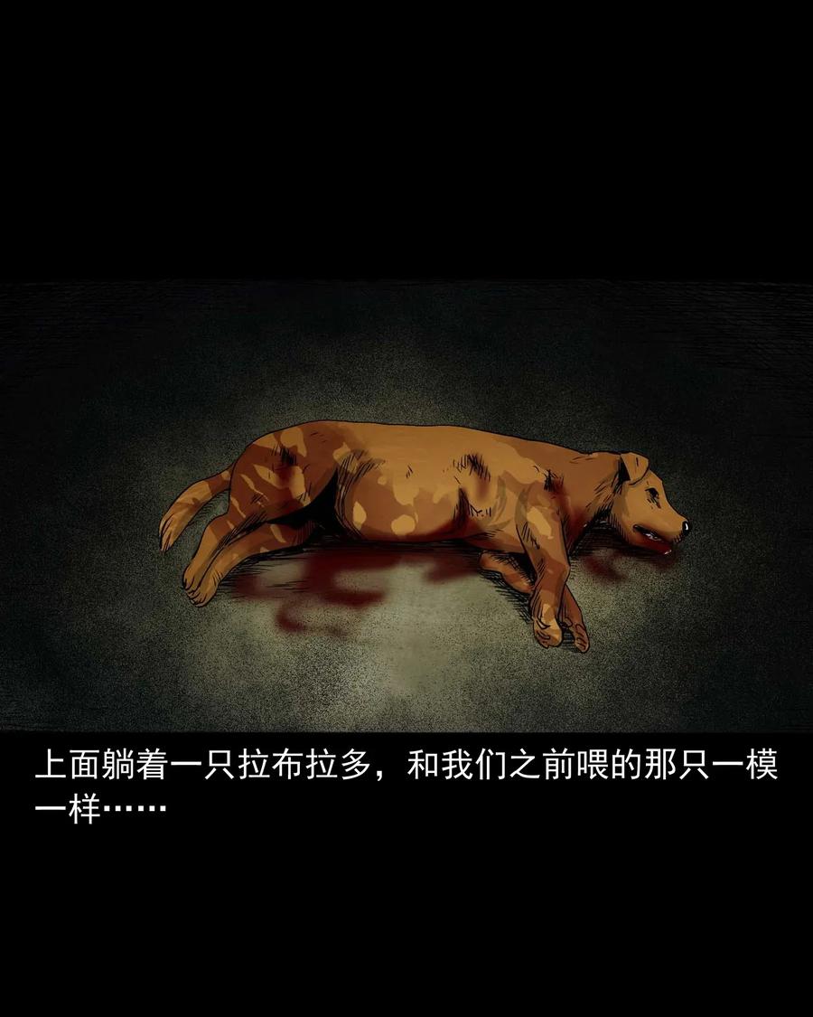 三老爷惊奇手札韩漫全集-412 找狗人无删减无遮挡章节图片 