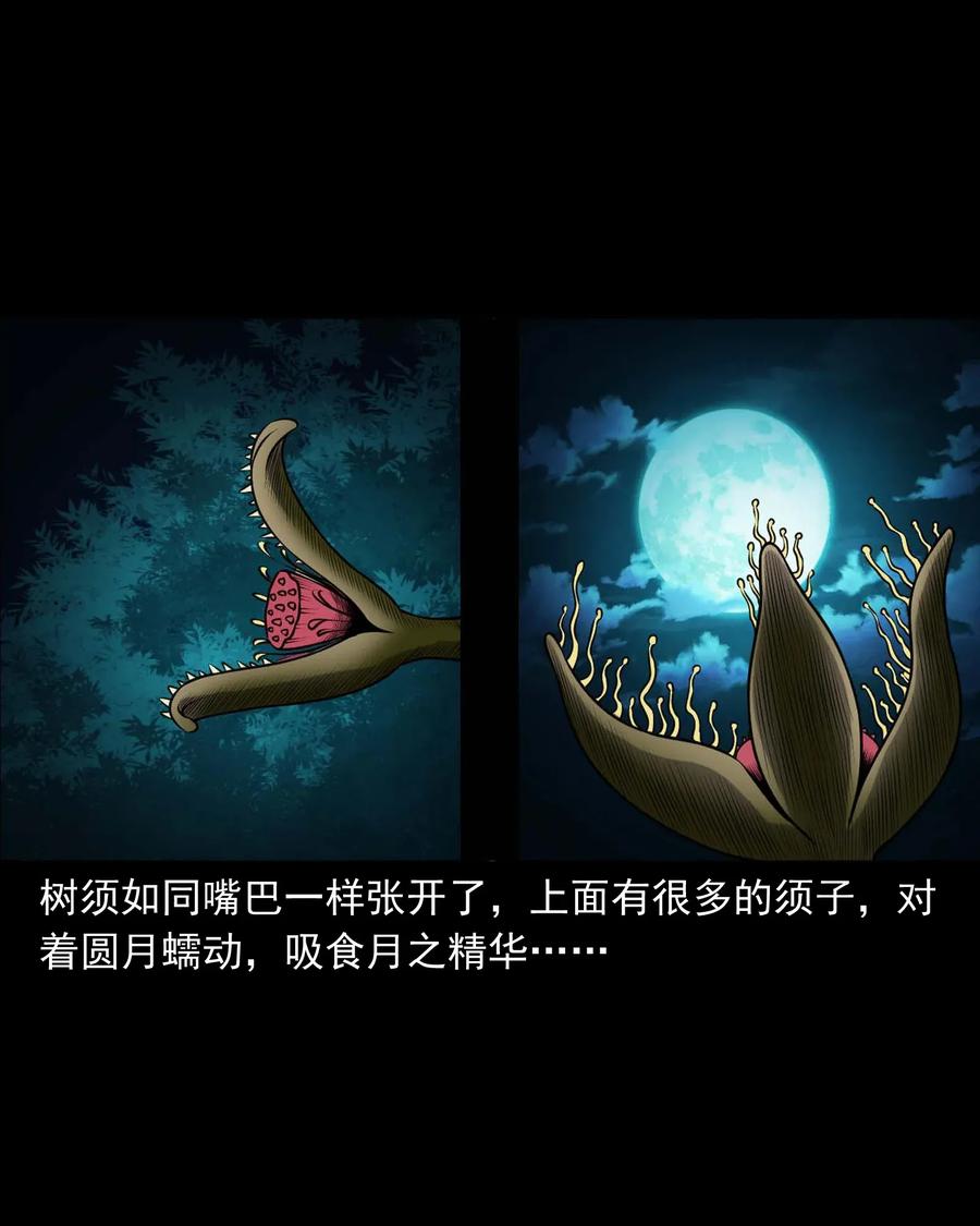 三老爷惊奇手札韩漫全集-417 老烟鬼47无删减无遮挡章节图片 