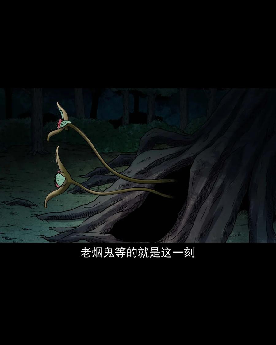 三老爷惊奇手札韩漫全集-417 老烟鬼47无删减无遮挡章节图片 
