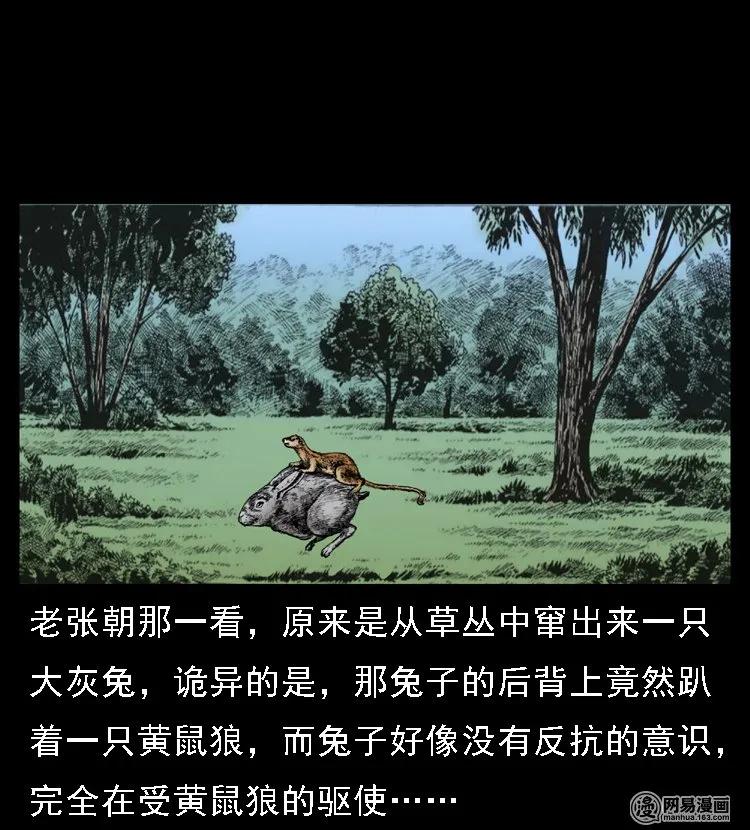 三老爷惊奇手札韩漫全集-45 富一刀降妖无删减无遮挡章节图片 